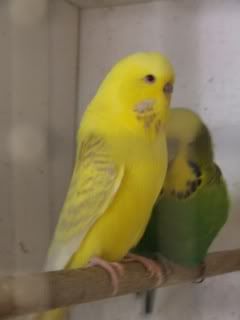 OCT0757.jpg