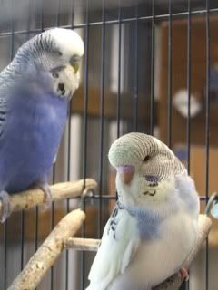 OCT07591.jpg