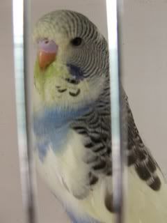 OCTOBER07036.jpg