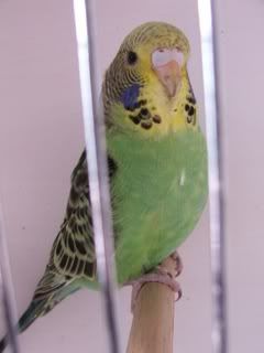OCTOBER07073.jpg