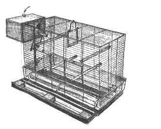 cage.jpg