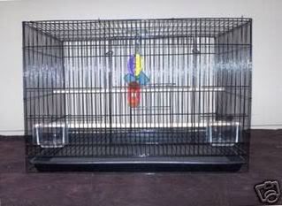 cage1-1.jpg