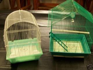 cage11.jpg