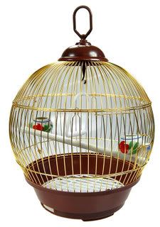 cage12-1.jpg