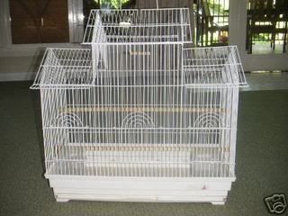 cage13.jpg