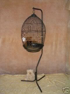 cage14-1.jpg