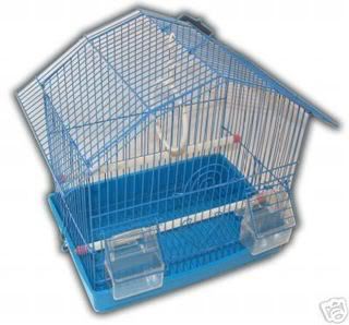 cage14.jpg