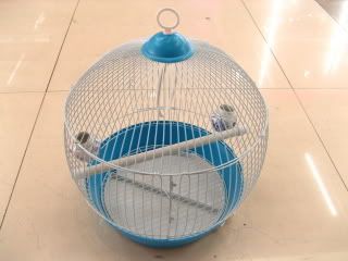 cage15-1.jpg