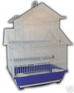 cage15.jpg