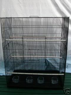 cage16-1.jpg