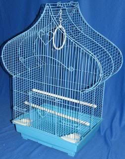 cage16.jpg