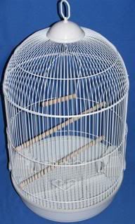 cage17.jpg