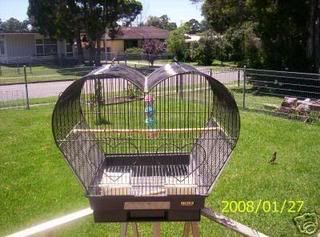 cage18-1.jpg