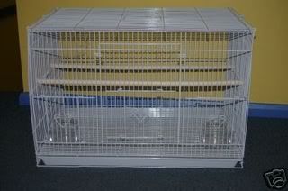 cage2-1.jpg