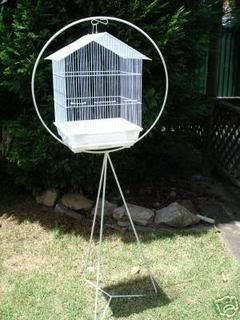 cage4.jpg