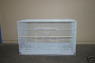 cage7.jpg