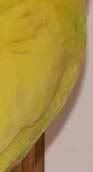 mummy2.jpg
