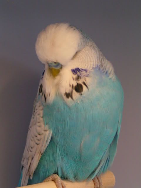 sky3.jpg