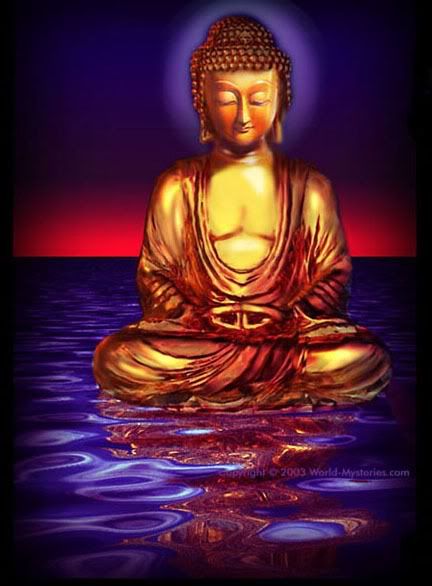 buddha Pictures, Images and Photos