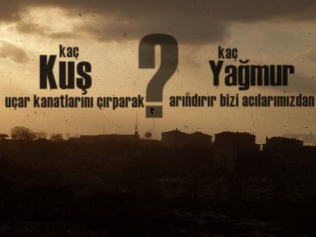1jq8uw.jpg
