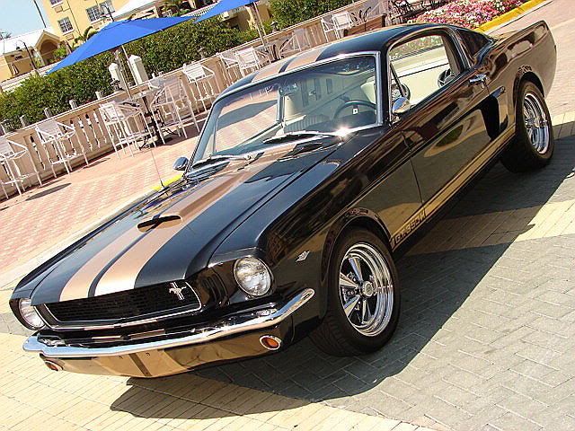 6620black20mustang2026kaq5.jpg