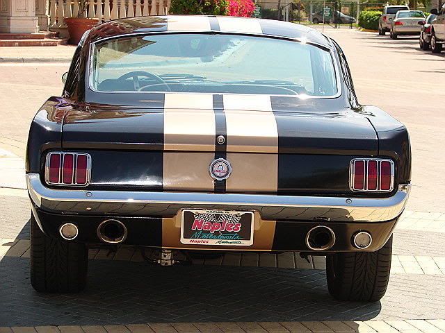 6620black20mustang2026kev4.jpg