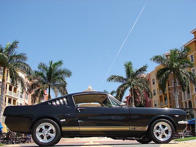 6620black20mustang2026kgj6.jpg