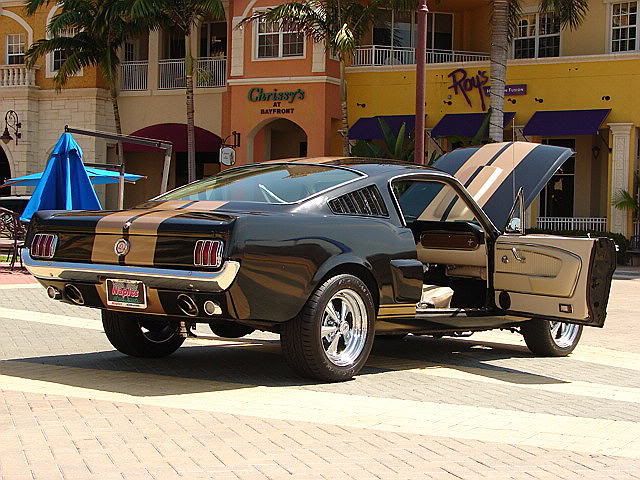 6620black20mustang2026kii5.jpg
