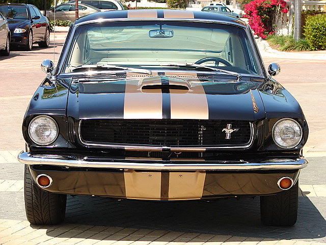 6620black20mustang2026kmi7.jpg