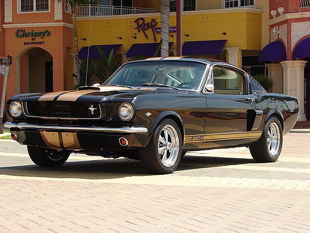 6620black20mustang2026knr4.jpg