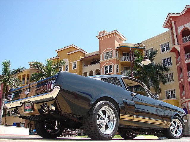 6620black20mustang2026koo0.jpg