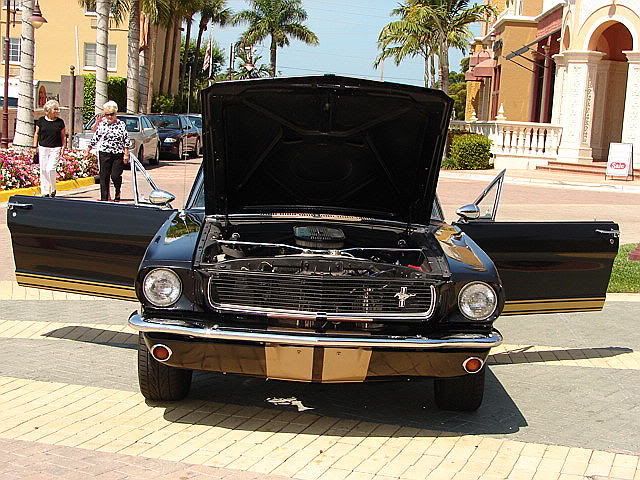 6620black20mustang2026kue8.jpg