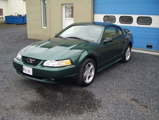 Mustang20Fiddi04.jpg