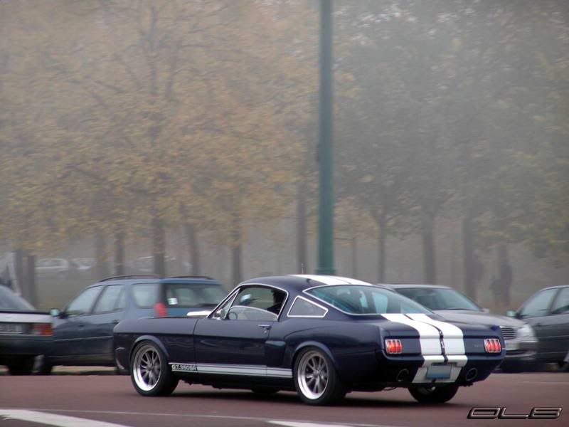 ford350dsc04575we8.jpg