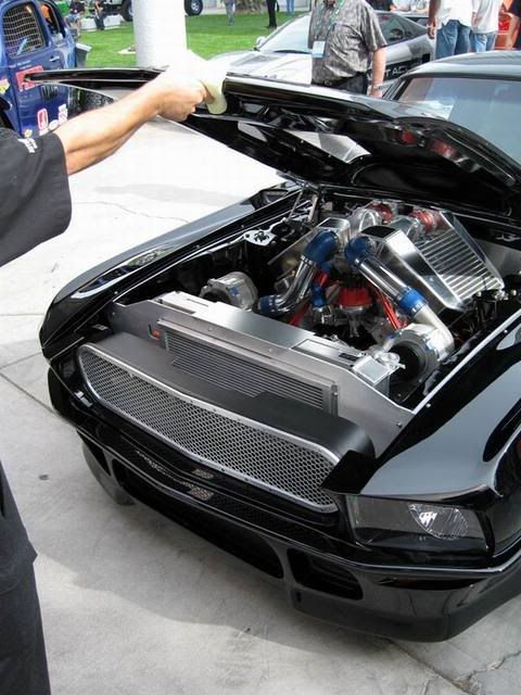 img0060cj9.jpg