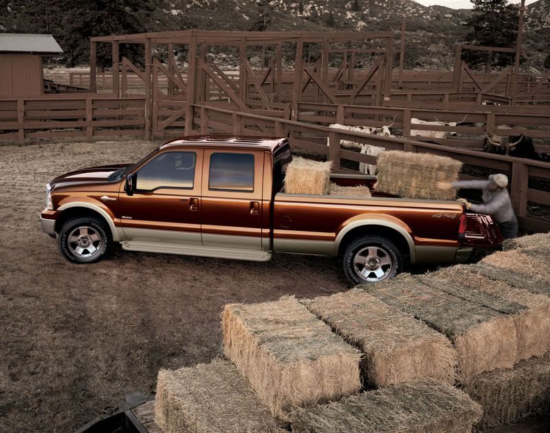 large20di20ford20f-25020-2007.jpg