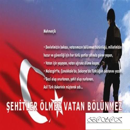sehitsb5.jpg