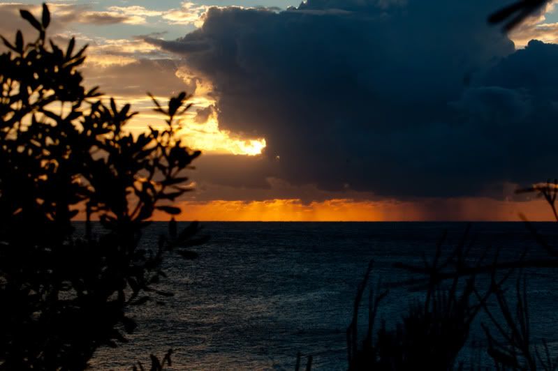 IMAGE: http://i143.photobucket.com/albums/r148/robbo911/JP5W1063-1.jpg