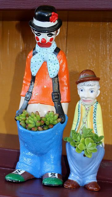 Clown Cactus Planter