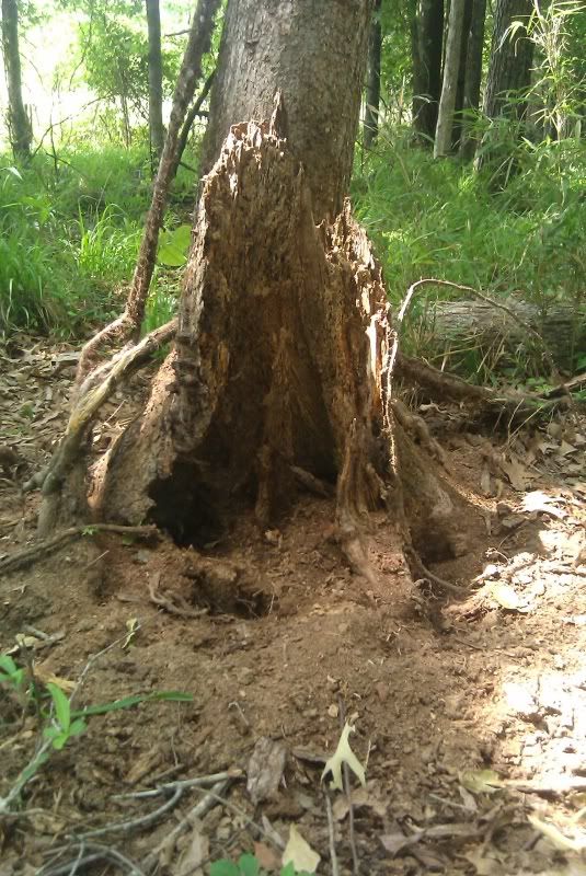 IMAG0004.jpg