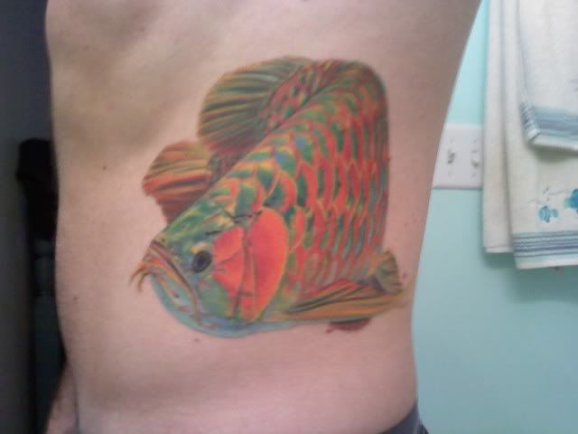 arowana tattoo. 1 Asian Arowana tattoo4