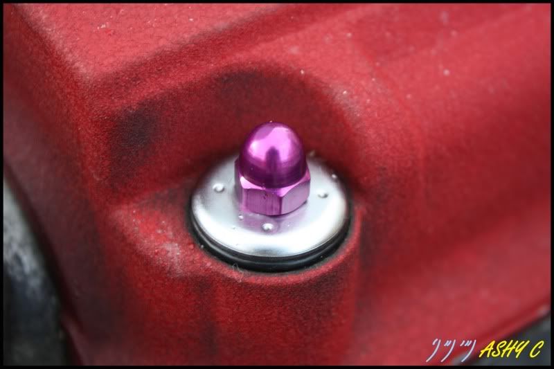 purplewashers033.jpg