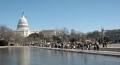 FDA Gets Schooled, Bees Rejoice capitol