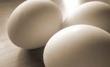 Courtesy of Flickr, license Pal Berge eggs