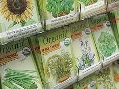 Easy to grow, easy to eat herbs