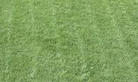 Get to sweating, boys! lawn