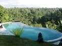 Murni's in Bali pool