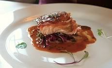 I'm officially going to eat my screen. salmon 2