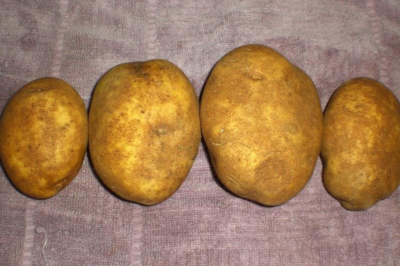 Baked Potatoes