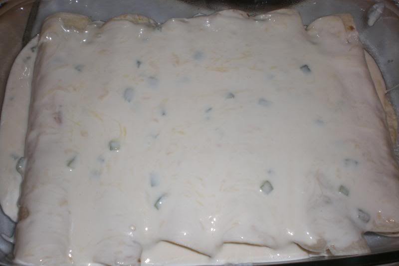 Sour Cream Enchiladas